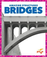 Bridges by Pettiford, Rebecca